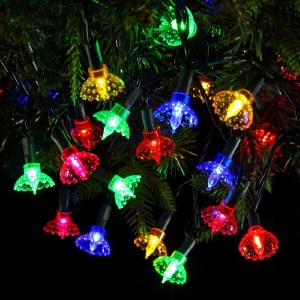 40 Pickwick String Lights - Multi Colour