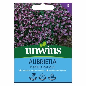 Aubrieta Purple Cascade