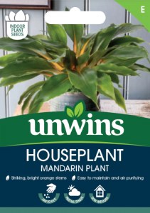 Houseplant Mandarin Plant