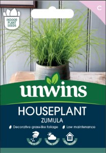 Houseplant Zumula