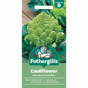 Cauliflower Romanesco