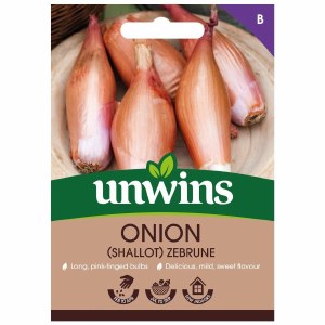 Shallot Zebune Vegetable