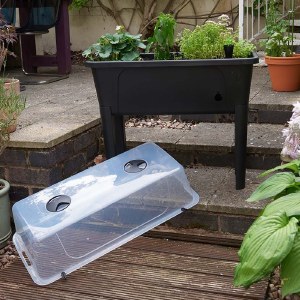 Raised Patio Planter