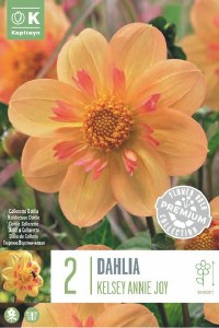 Dahlia Kelsey Annie Joy