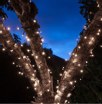 600 LED Fit & Forget Light Set - White