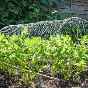 Smart Gal Wire Net 25mm 0.5x5m