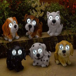 Bright Eyes Dogs