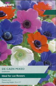 Anemone De Caen Mixed 15 Bulbs