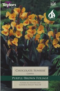 Canna Chocolate Sunrise 1 Bulb