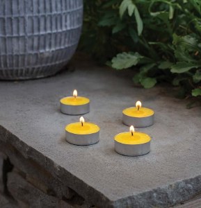 Smart T-lights 20pk Citronella
