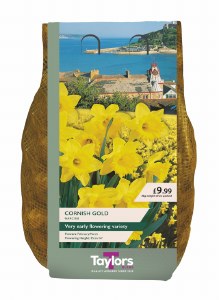 Daffodil  Cornish Gold 2kg