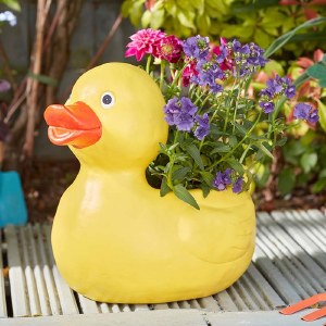 Smart Duck Planter