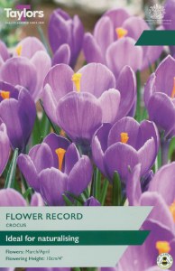 Crocus Flower Record