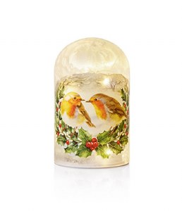 Lit Glass Dome with Robin
