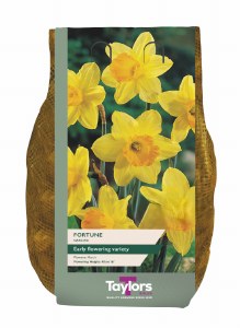 Daffodil Fortune 2kg