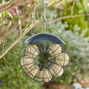 Ring Suet Feeder
