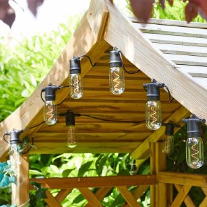 Vintage 365 String Lights - Set of 8