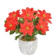 SIN 20cm Red Poinsettia x 9 po