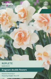 Daffodil Replete 5 bulbs