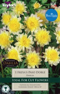 Dahlia Freya's Paso Doble