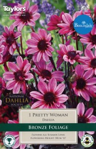 Dahlia Pretty Woman