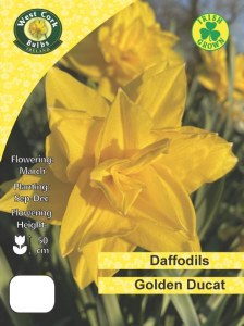 Daffodil Golden Ducat 30 Bulbs