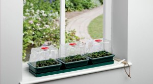 Three Top Windowsill Propagator