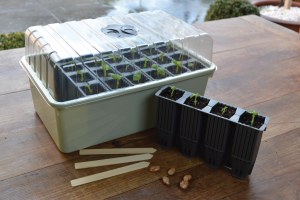 28 Cell Deep Root Success Kit - G227