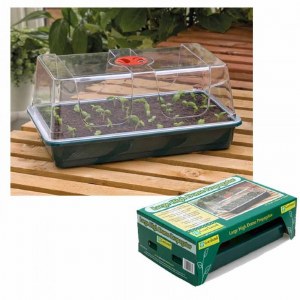 Large High Dome Propagator - G19