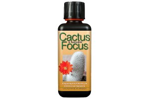 Cactus Focus 100ml