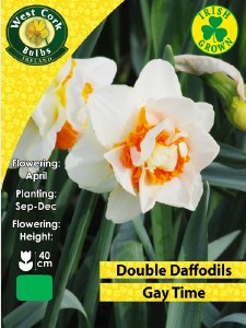 Daffodil Gay Time 25Kg
