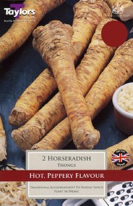 Horseradish Thongs