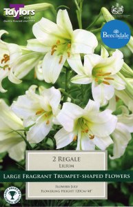Lily Regale