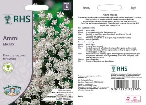 RHS Ammi majus