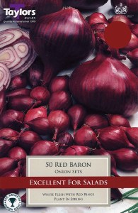 Onion Red Barron