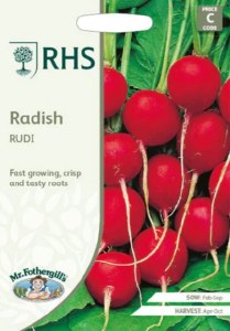 RHS Radish Rudi