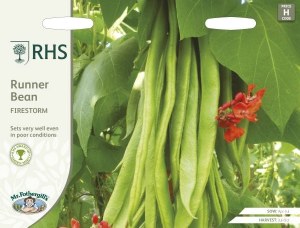 RHS Runner Bean Firestorm