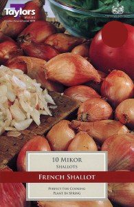 Shallot 'French Mehir' 10pk