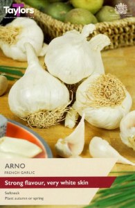 Garlic Arno