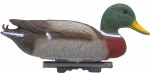 Mallard Drake Duck Decoy