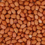 Peanut 25kg