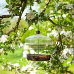 Mealworm & Suet Feeder