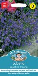 Lobelia Sapphire Trailing