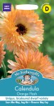 Calendula Orange Flash