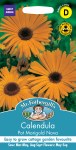 Calendula Pot Marigold Nova