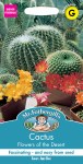 Cactus Flowers of The Desert