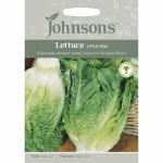 Lettuce Little Gem