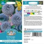 Echinops Globe Thistle