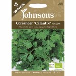 Coriander Cilantro Organic