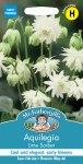 Aquilegia Lime Sorbet